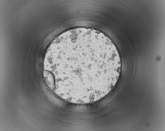 X0000111480445200908251005