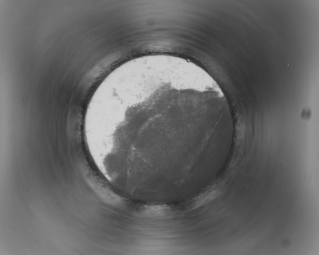 X0000111480446200908251005