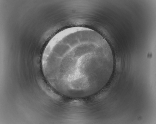 X0000111480447200908251005