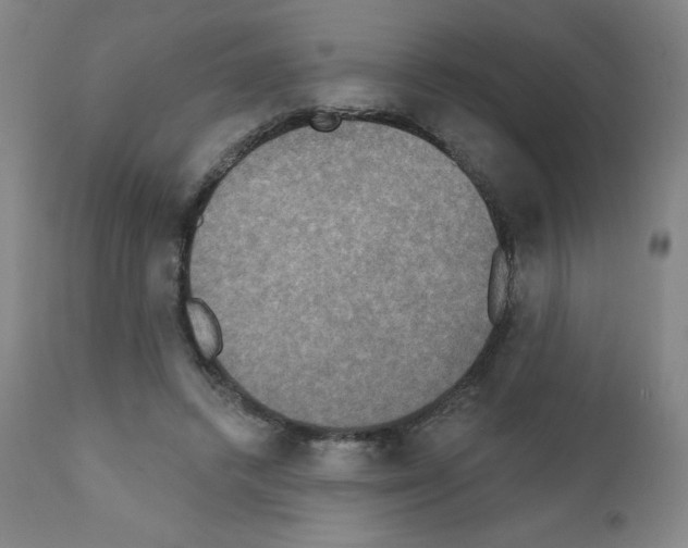 X0000111480448200908251005