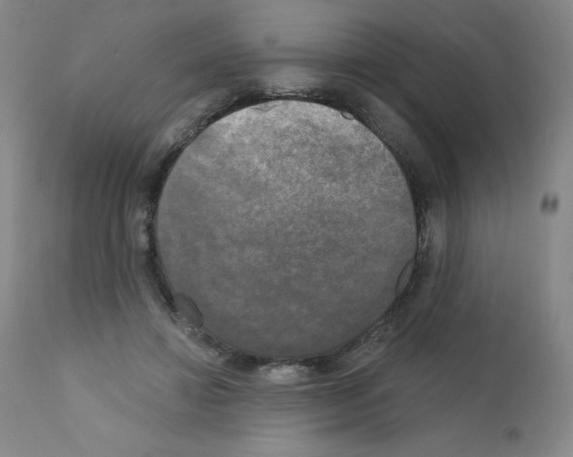 X0000111480452200908251005
