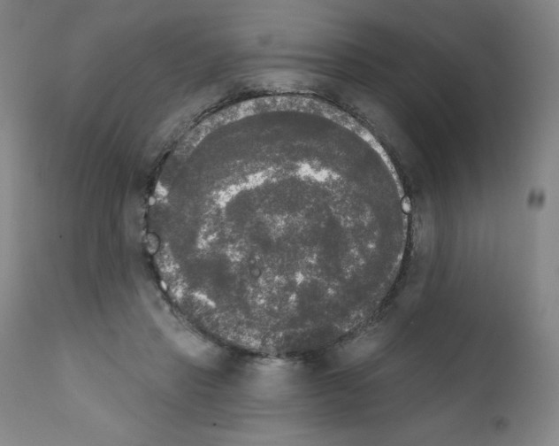 X0000111480453200908251005