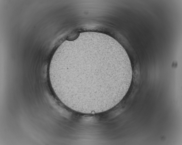 X0000111480454200908251005