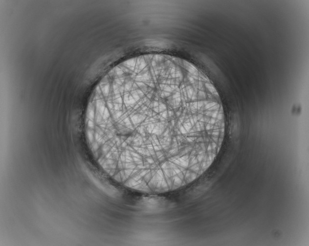 X0000111480455200908251005