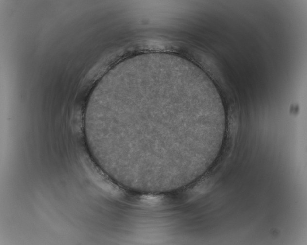 X0000111480457200908251005