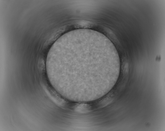 X0000111480459200908251005
