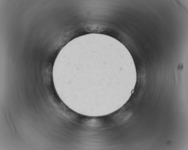 X0000111480460200908251005