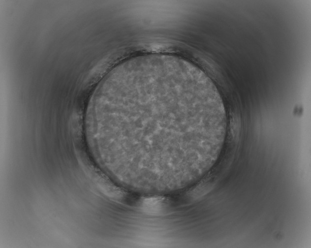 X0000111480461200908251005