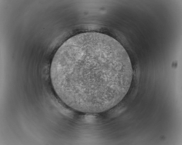 X0000111480462200908251005