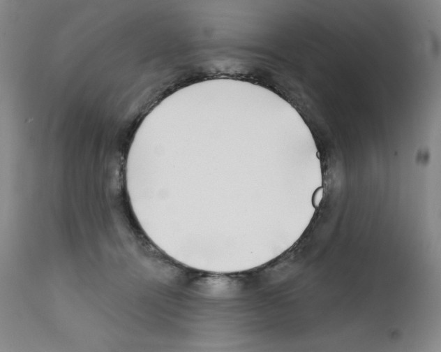 X0000111480464200908251005