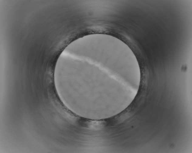 X0000111480465200908251005