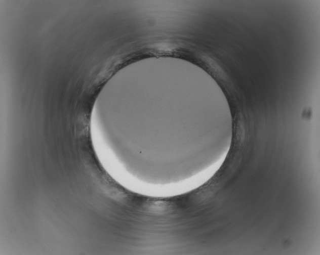 X0000111480467200908251005