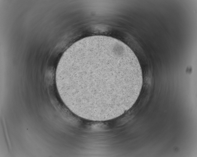 X0000111480468200908251005