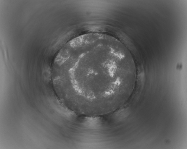 X0000111480469200908251005
