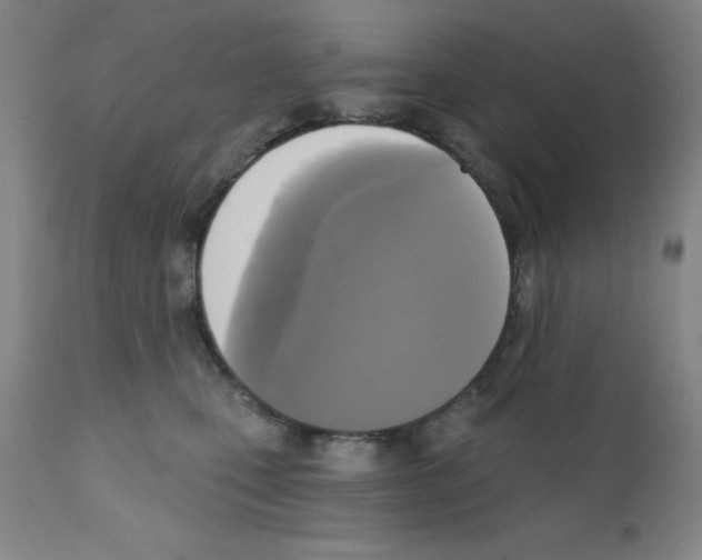 X0000111480471200908251006