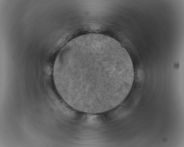 X0000111480472200908251006