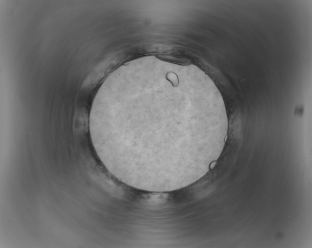 X0000111480474200908251006