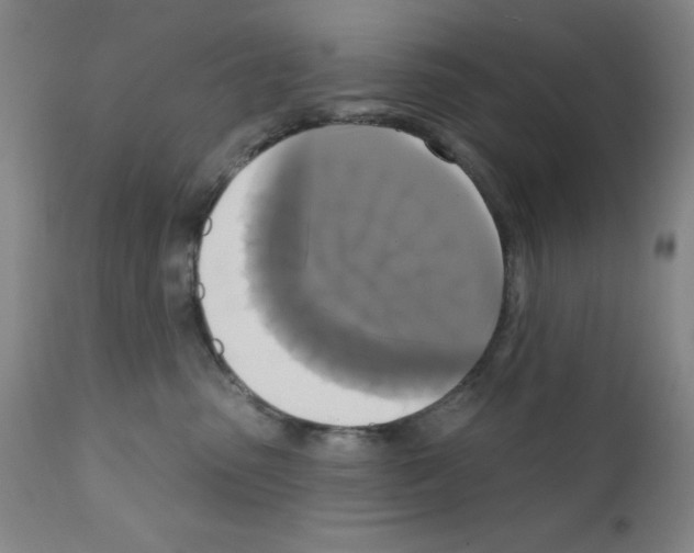 X0000111480475200908251006