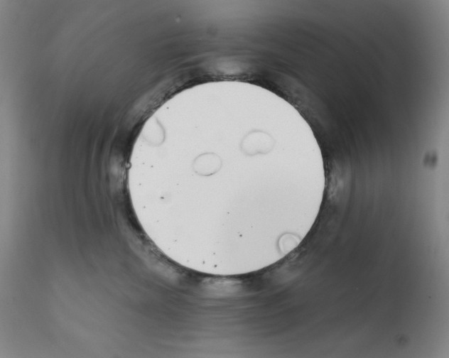 X0000111480476200908251006