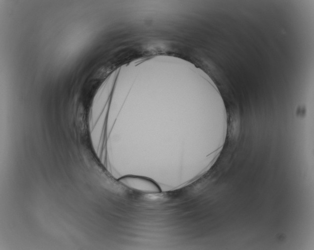 X0000111480477200908251006