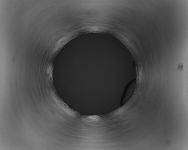 X0000111480478200908251006