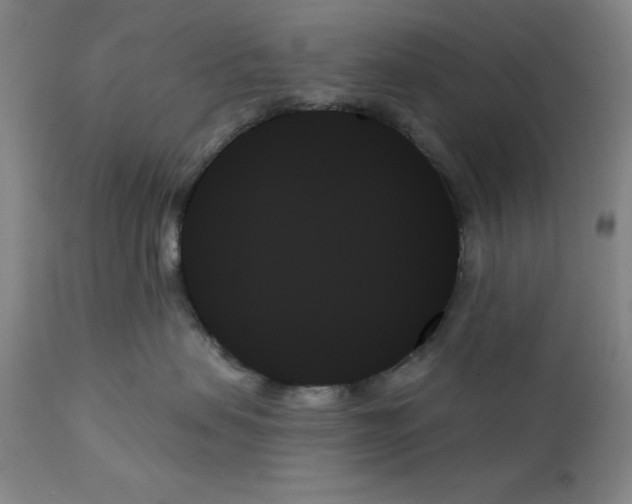 X0000111480479200908251006