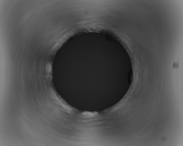 X0000111480480200908251006