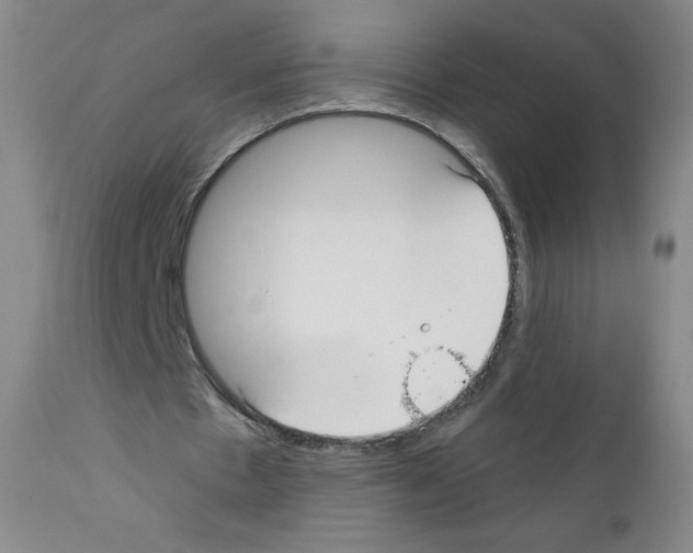 X0000111480481200908251005