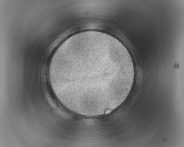X0000111480482200908251005