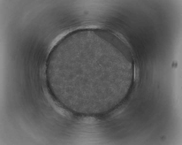 X0000111480483200908251005