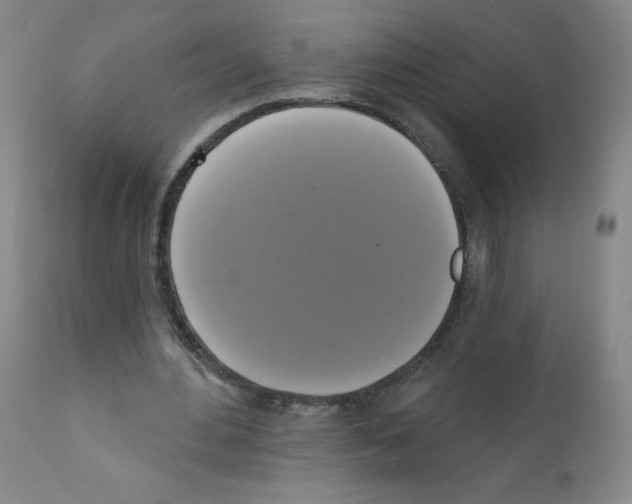 X0000111480484200908251005