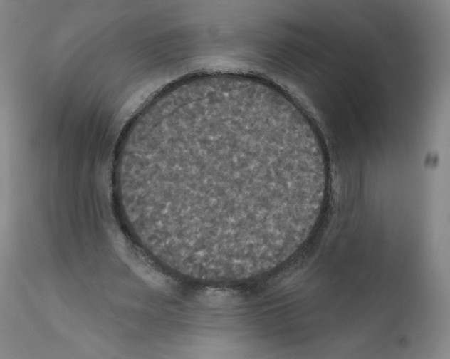 X0000111480487200908251005