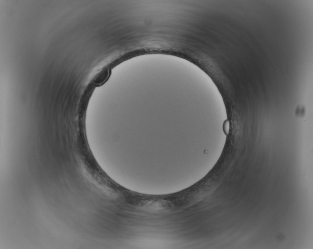 X0000111480488200908251005