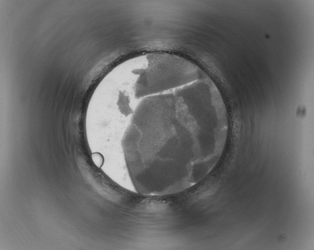 X0000111480491200908251005