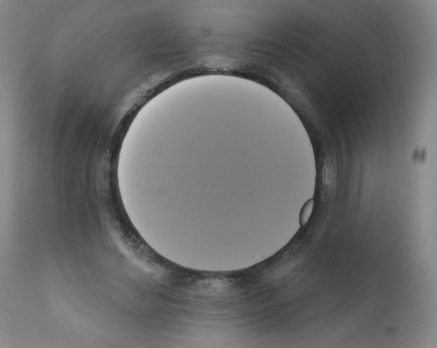 X0000111480492200908251005