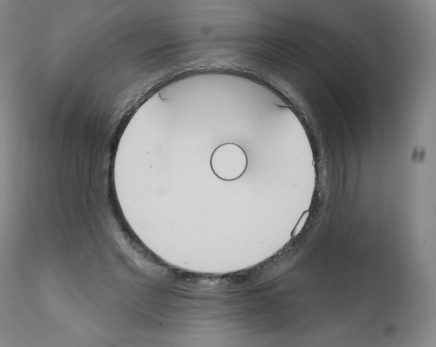 X0000111480493200908251005