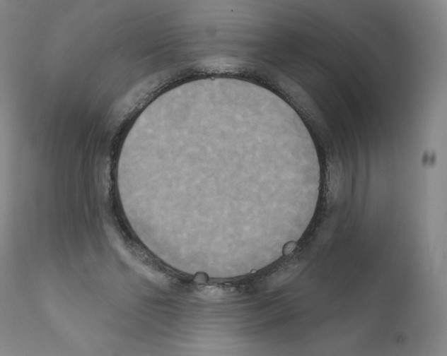 X0000111480494200908251005
