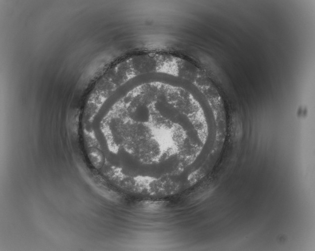 X0000111480495200908251005