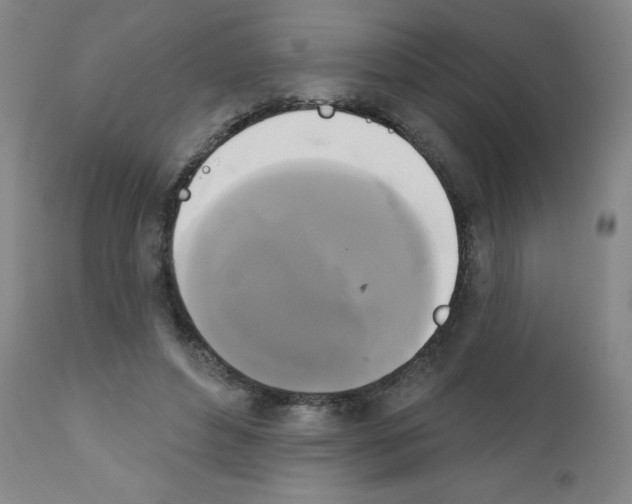 X0000111480496200908251005
