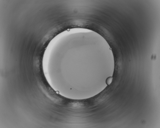 X0000111480500200908251005