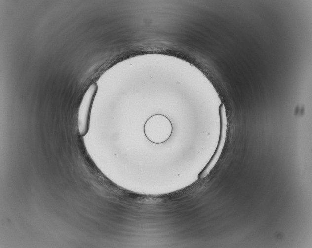 X0000111480501200908251005