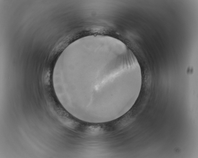 X0000111480502200908251005