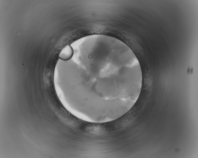 X0000111480503200908251005