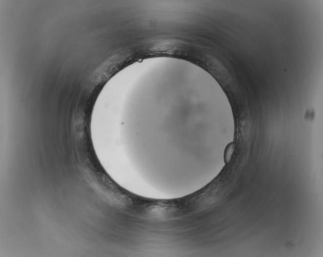 X0000111480504200908251005