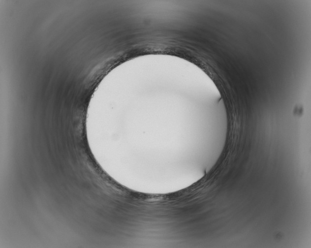 X0000111480505200908251005