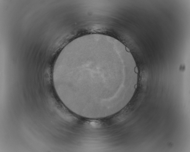 X0000111480506200908251005