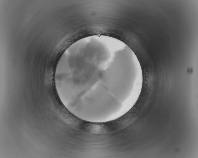 X0000111480507200908251005