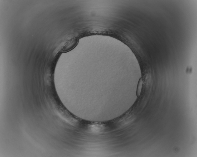 X0000111480508200908251005