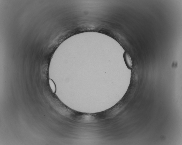 X0000111480509200908251005