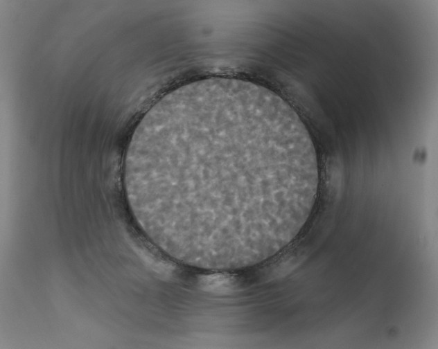X0000111480511200908251005
